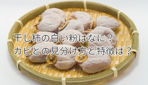 干し柿のカロリーは高い 干し柿ダイエットの効果的な方法を公開 食べいろナビ 野菜 果物の情報 野菜宅配 季節の食べ物