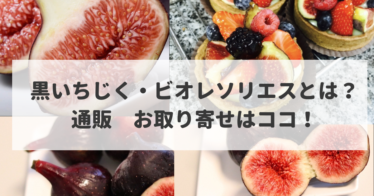 黒いちじく ビオレソリエス とは お取り寄せ 通販は 満点青空レストラン 食べいろナビ 野菜 果物の情報 野菜宅配 季節の食べ物