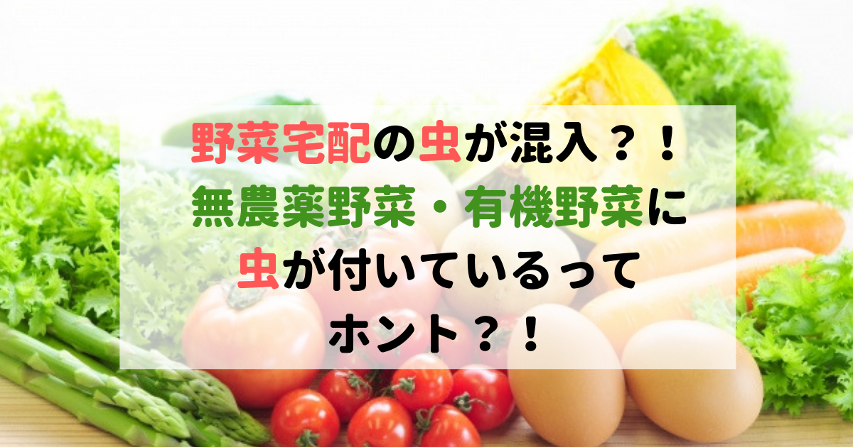 うわっ 野菜宅配の無農薬野菜 有機野菜に虫が付いているって本当 食べいろナビ 野菜 果物の情報 野菜宅配 季節の食べ物