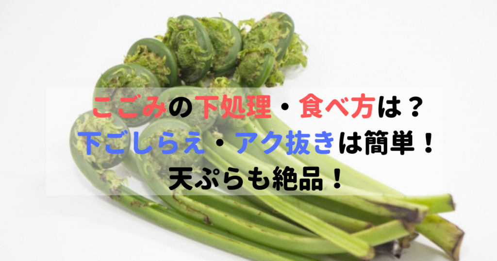 こごみの下処理 食べ方は 下ごしらえ アク抜きは簡単 天ぷらも絶品 食べいろナビ 野菜 果物の情報 野菜宅配 季節の食べ物