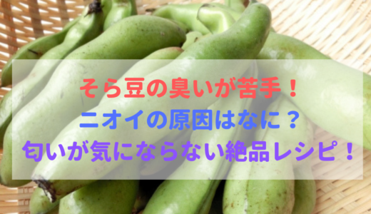 そら豆の食べ過ぎるとどうなる 栄養 効果と効能は便秘や美肌にも 食べいろナビ 野菜 果物の情報 野菜宅配 季節の食べ物