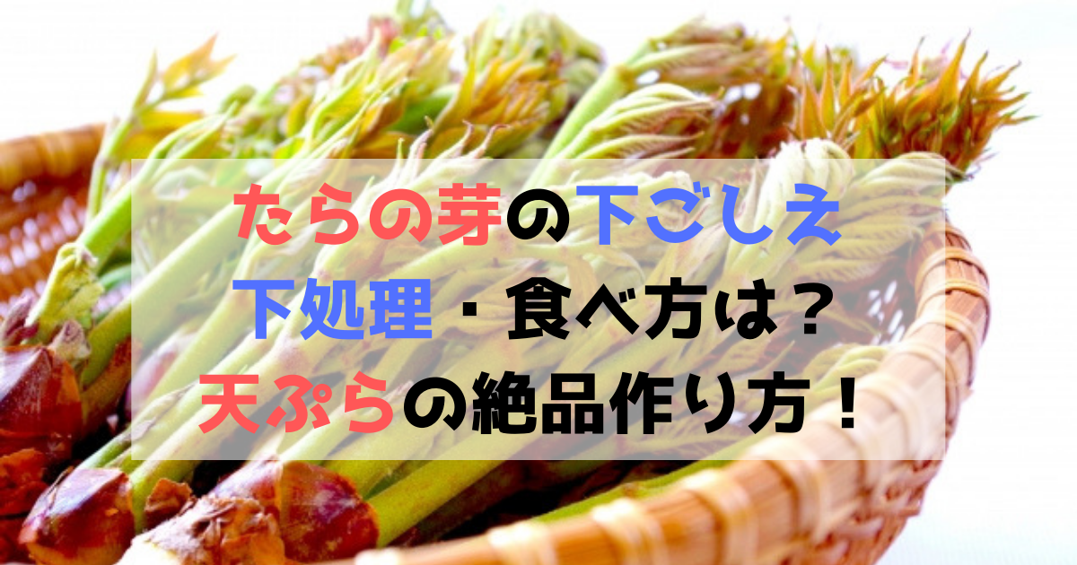 たらの芽の下ごしえ 下処理 食べ方は 天ぷらの絶品作り方 食べいろナビ 野菜 果物の情報 野菜宅配 季節の食べ物