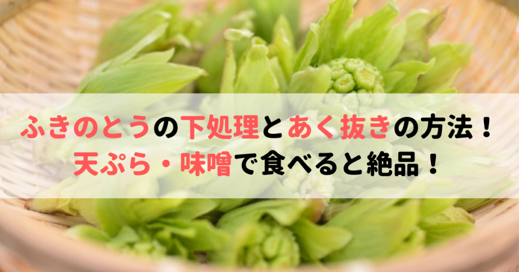 ふきのとうの下処理とあく抜きの方法 天ぷら 味噌の食べ方が絶品 食べいろナビ 野菜 果物の情報 野菜宅配 季節の食べ物