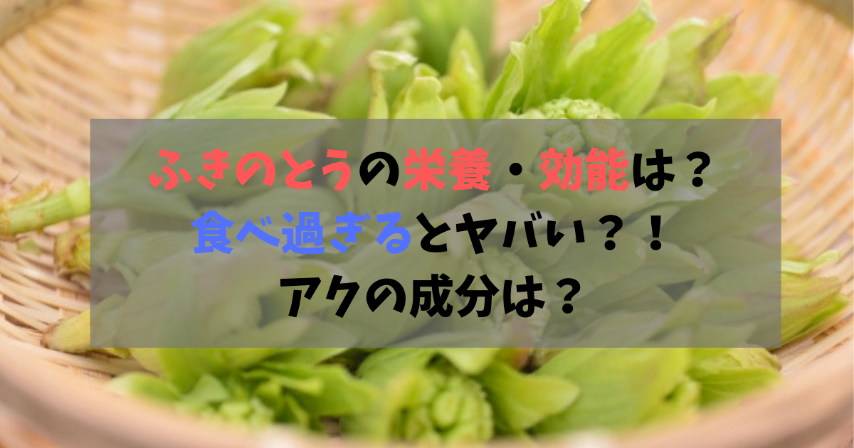 ふきのとうの栄養 効能は 食べ過ぎるとヤバい アクの成分は 食べいろナビ 野菜 果物の情報 野菜宅配 季節の食べ物