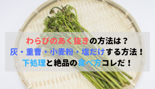 わらびのあく抜きを失敗 苦みの対処法 やり直しとアレンジレシピ 食べいろナビ 野菜 果物の情報 野菜宅配 季節の食べ物