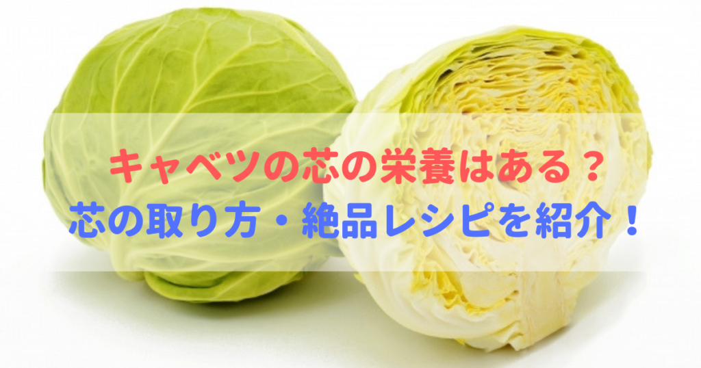 キャベツの芯に栄養はある 取り方 くりぬき方 レシピを紹介 食べいろナビ 野菜 果物の情報 野菜宅配 季節の食べ物