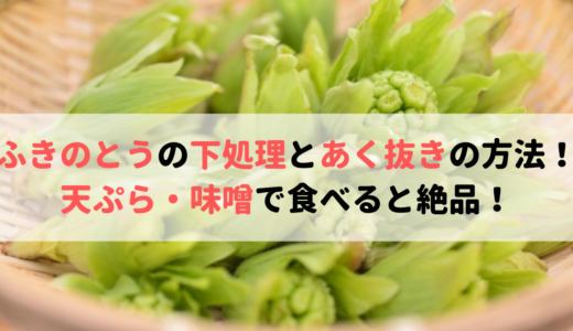 ふきのとうの下処理とあく抜きの方法！天ぷら・味噌の食べ方が絶品！