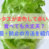 レタスが腐る状態の見分け方 鮮度を保つ保存方法と賞味期限は 食べいろナビ 野菜 果物の情報 野菜宅配 季節の食べ物