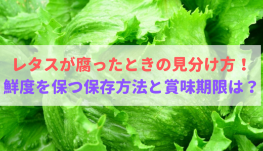 レタスの赤い変色はヤバイ 食べても大丈夫 原因 防止の方法 食べいろナビ 野菜 果物の情報 野菜宅配 季節の食べ物