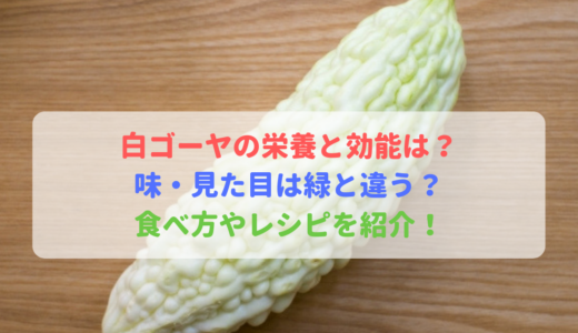 ゴーヤ 食べいろナビ 野菜 果物の情報 野菜宅配 季節の食べ物